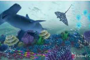 开元国际67ky桌面版客户端